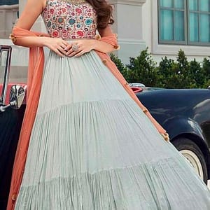 Indian Designer Gown