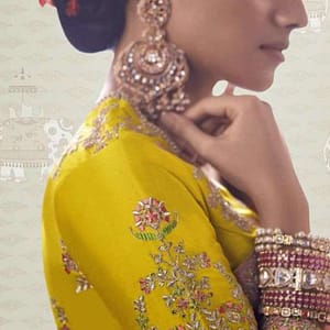 Dola Silk Saree Intricate Embroidery