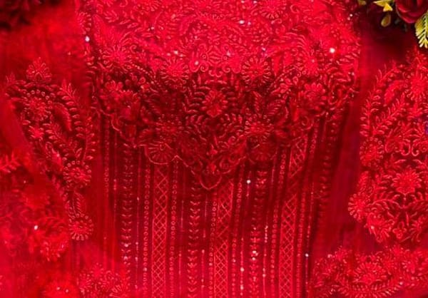 Red Net designer suit